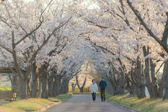 50代から始めるウォーキングのポイント